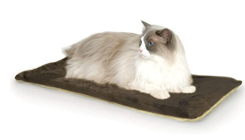 Thermo-kitty bed heated apartment cat bed