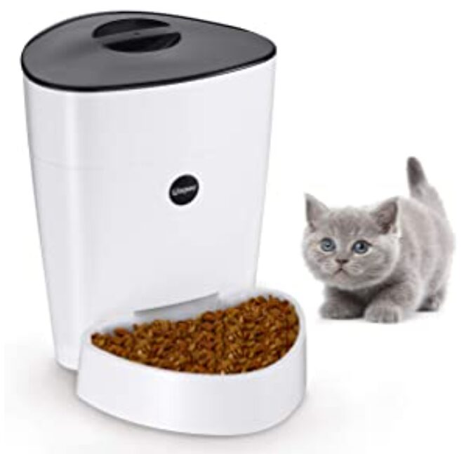 Automatic feeder for apartment cats